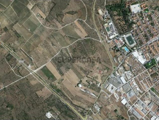 Terreno venda em Vila Viçosa Terreno venda em Vila Viçosa