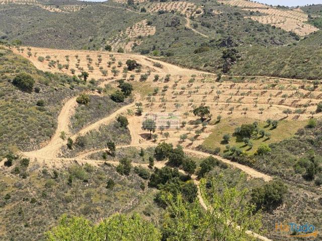 Quinta venda em Alfândega Da Fé, Bragança