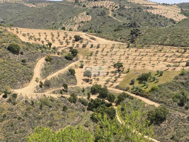 Quinta venda em Alfândega Da Fé, Bragança