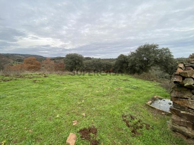 Terreno venda em Vinhas, Lamas