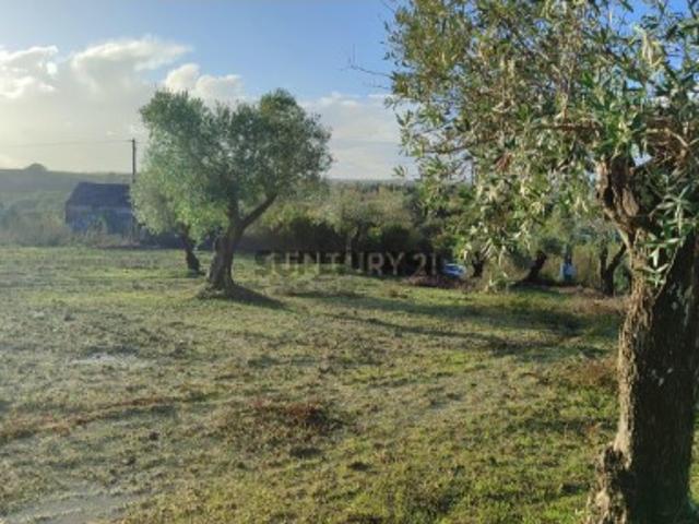 Terreno venda em São Vicente do Paul, Santarém