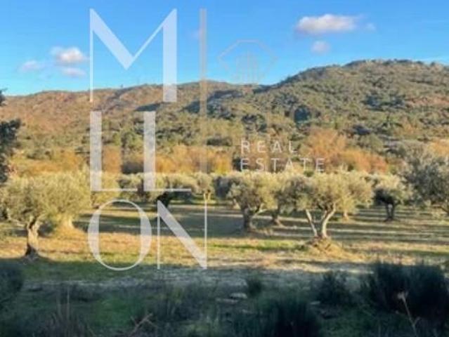 Terreno venda em Guarda, Celorico Da Beira
