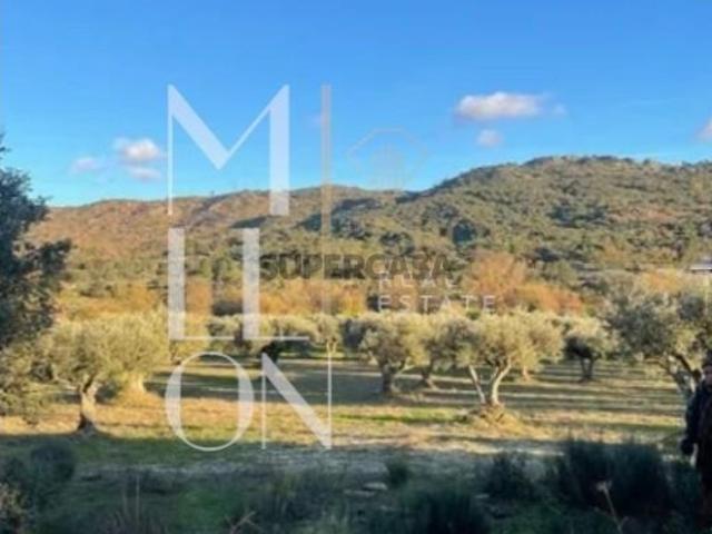 Terreno venda em Guarda, Celorico Da Beira