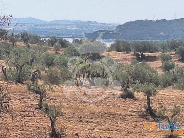 Terreno venda em Portel, Évora