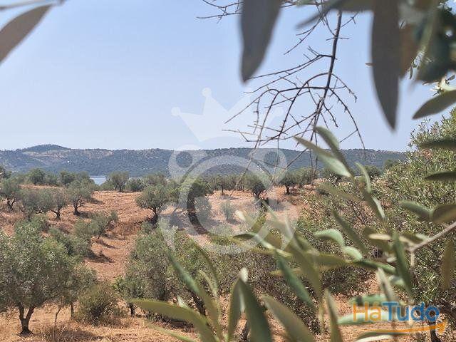 Terreno venda em Portel, Évora