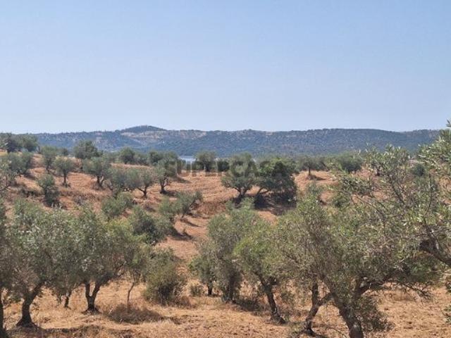 Terreno venda em Portel, Évora