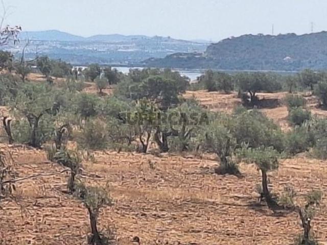 Terreno venda em Portel, Évora