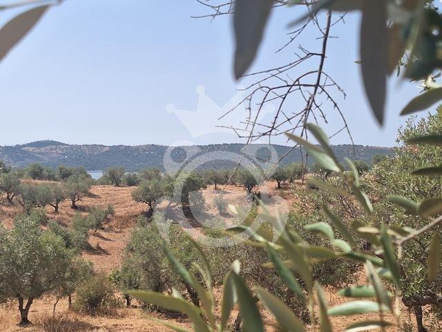 Terreno venda em Alqueva, Portel