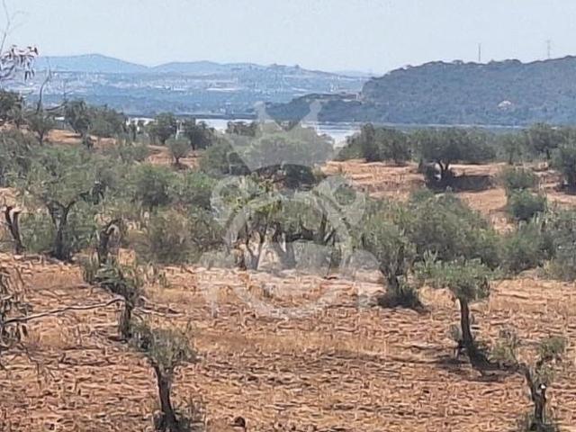 Terreno venda em Alqueva, Portel