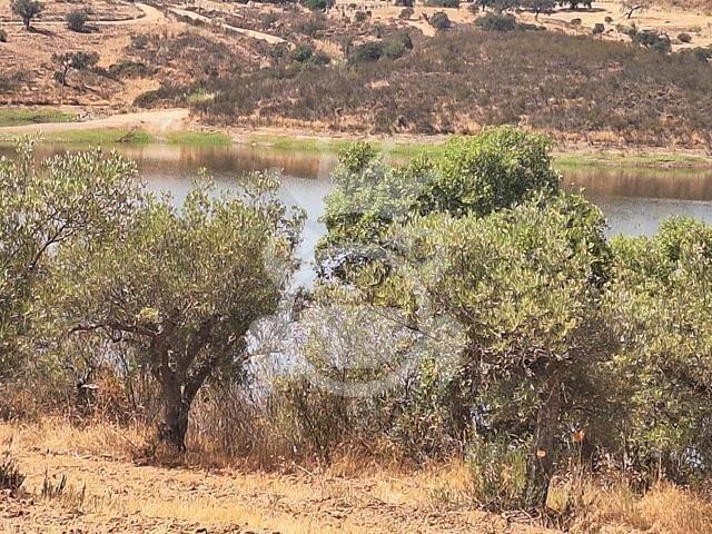 Terreno venda em Alqueva, Portel