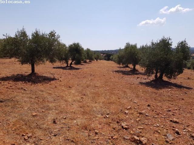 Local Comercial en venta en Villanueva Del Duque, Andalucía