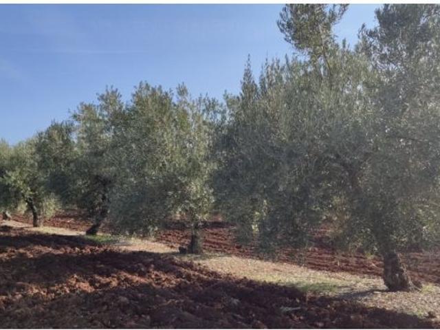 Local Comercial en venta en Baena