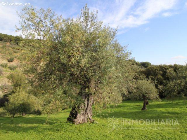 Casa en venta en Sierra de las Nieves, Andalucía