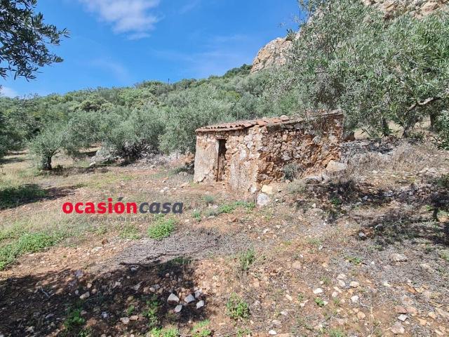 Terreno en venta en Peñarroya-pueblonuevo, Andalucía