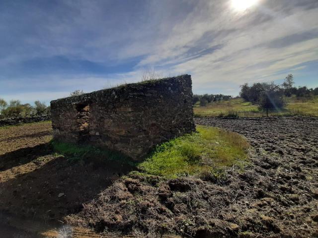 Terreno en venta en Botija, Extremadura