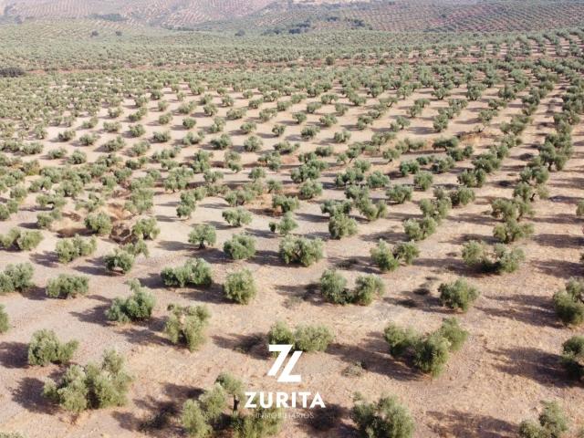 Terreno en venta en Montoro, Andalucía