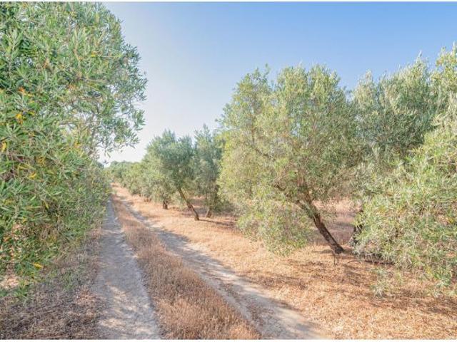 Local Comercial en venta en Comarca de la Vega de Granada, Andalucía