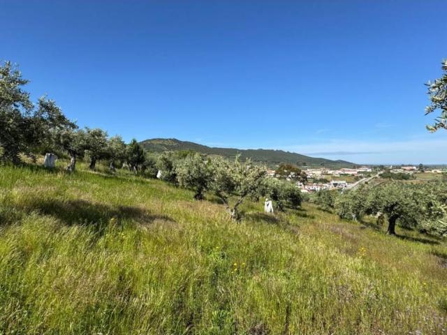 Terreno en venta en Aliseda