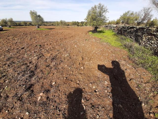 Terreno en venta en Botija, Extremadura