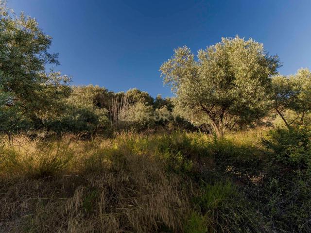 Terreno en venta en Comarca de la Alpujarra Granadina, Andalucía