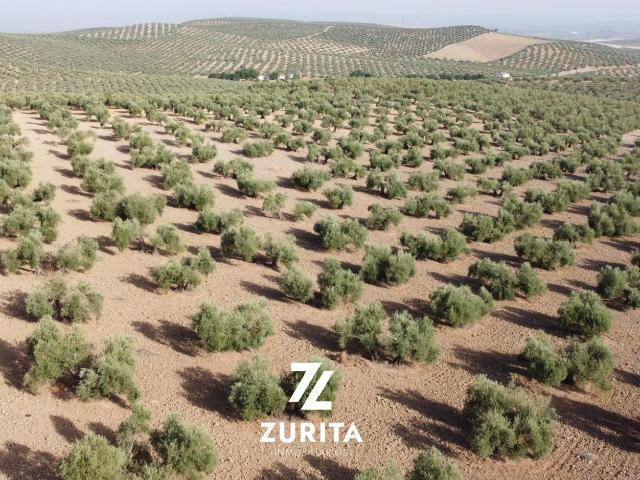 Terreno en venta en Montoro, Andalucía