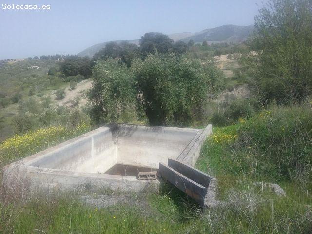 Local Comercial en venta en Beiro, Comarca de la Vega de Granada