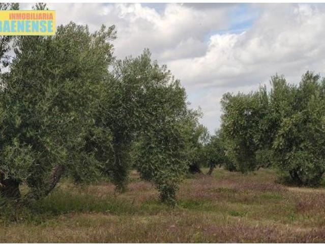 Local Comercial en venta en Santiago de Calatrava, Jaén