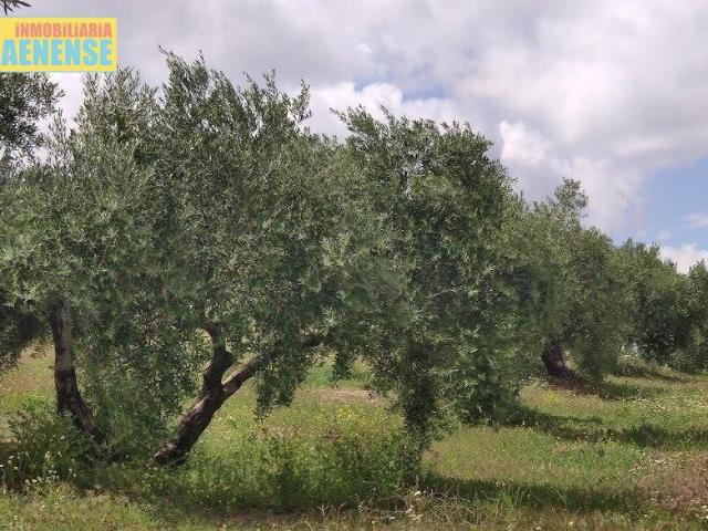 Terreno en venta en Valenzuela, Andalucía