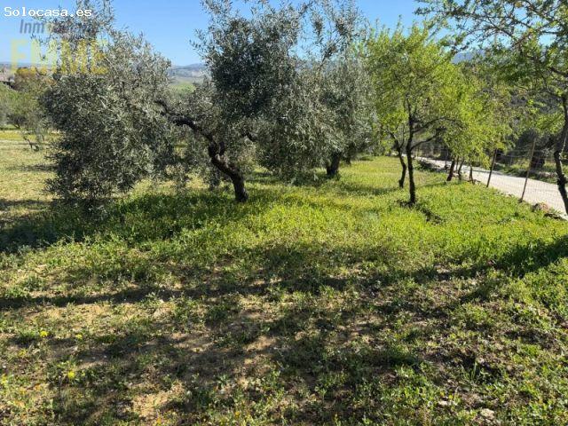 Casa en venta en Ronda, Serranía de Ronda