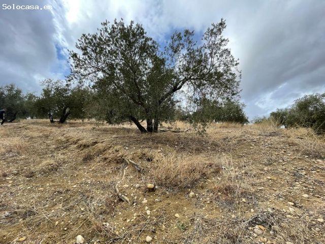 Local Comercial en venta en San Bartolomé, Jaén