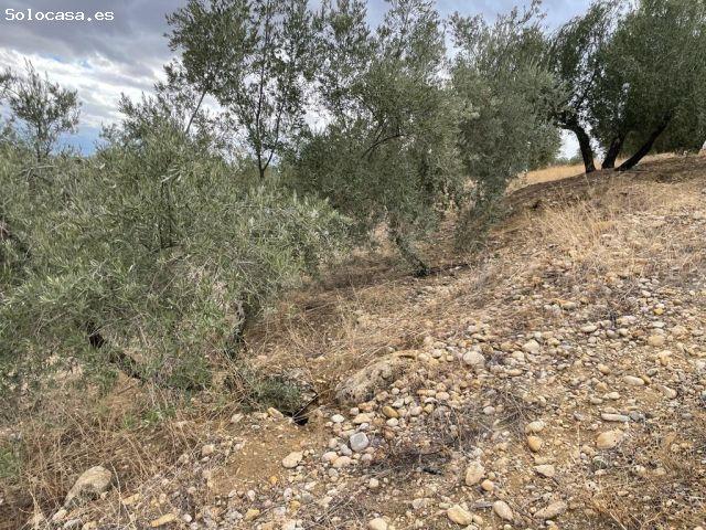 Local Comercial en venta en La Alcantarilla, Jaén