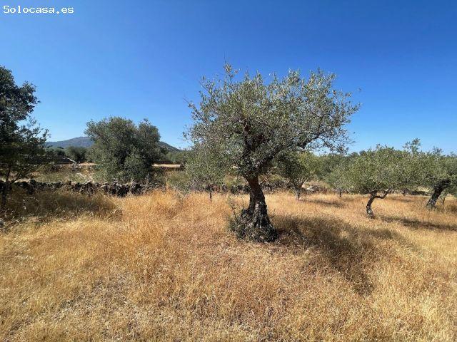 Local Comercial en venta en Valdefuentes, Extremadura