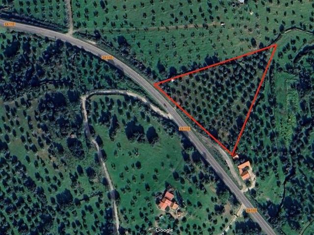 Terreno en venta en Valencia De Alcántara Terreno en venta en Valencia De Alcántara