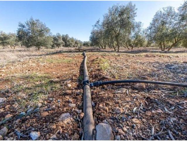 Local Comercial en venta en Comarca de la Vega de Granada, Andalucía