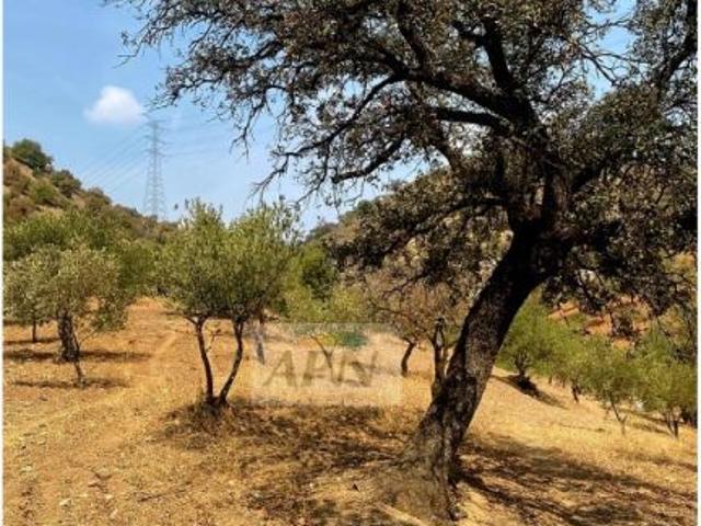 Local Comercial en venta en El Puente, Valle del Guadalhorce