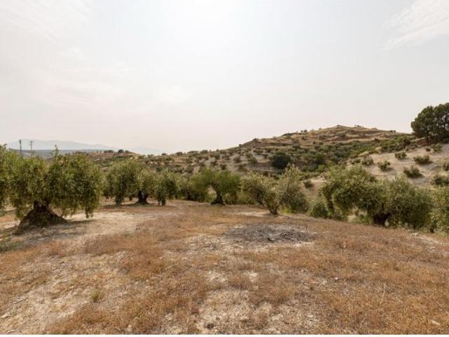 Local Comercial en venta en Comarca de Alhama, Andalucía