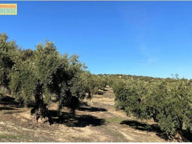 Local Comercial en venta en Luque, Andalucía