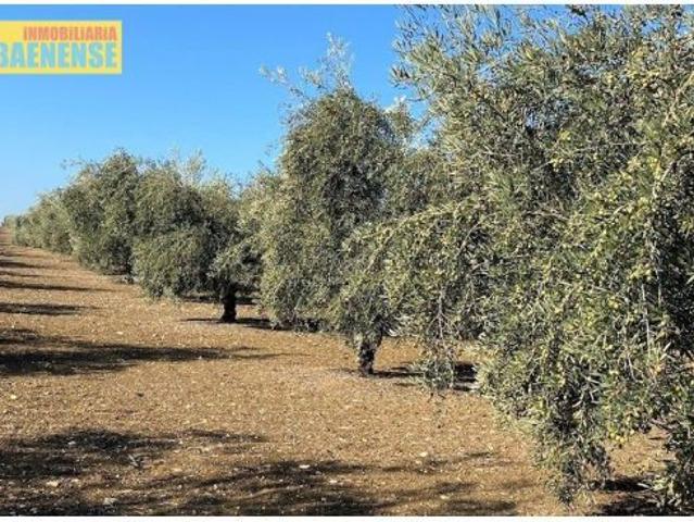 Local Comercial en venta en Aguilar De La Frontera, Andalucía