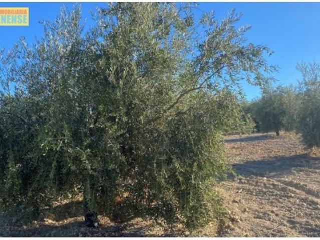 Local Comercial en venta en Aguilar De La Frontera, Andalucía