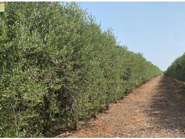 Local Comercial en venta en Villa Del Río, Andalucía