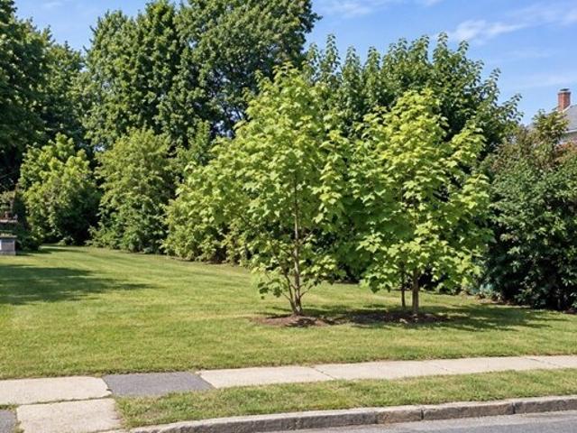 Land for sale in Oakdale, Holyoke