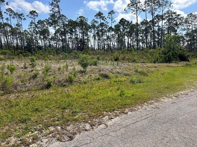 Land for sale in Gulf, Florida