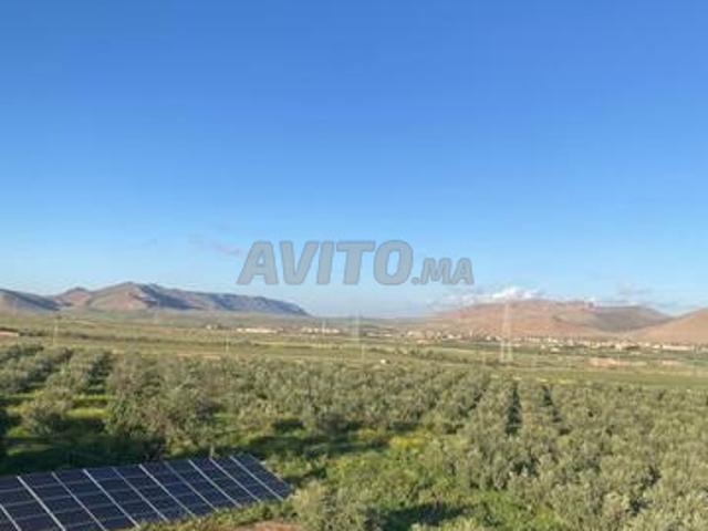 Propriété vente à Oujda وجدة, Préfecture d'Oujda-Angad عمالة وجدة - أنجاد