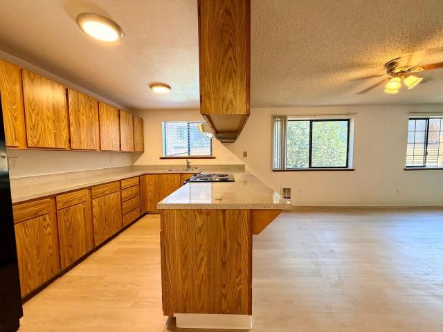 Apartment for rent in Sunnydale, Burien