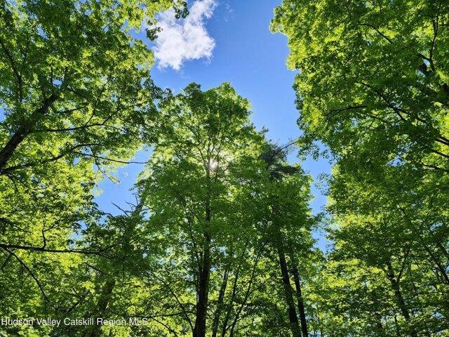 Land for sale in Olive, New York