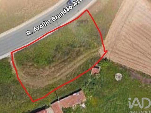 Terreno venda em Oliveira de Azeméis, Aveiro