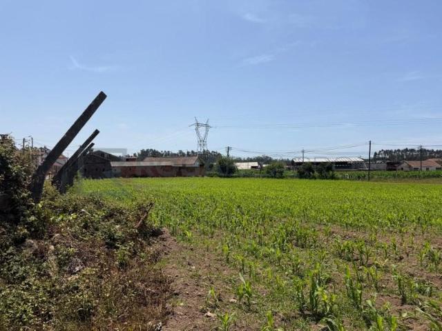 Terreno venda em Oliveira De Azeméis, Aveiro