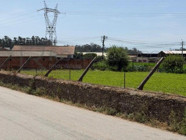 Terreno venda em Oliveira De Azeméis, Aveiro