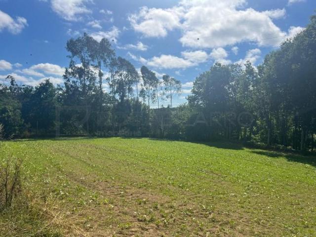 Terreno venda em Oliveira De Azeméis, Aveiro