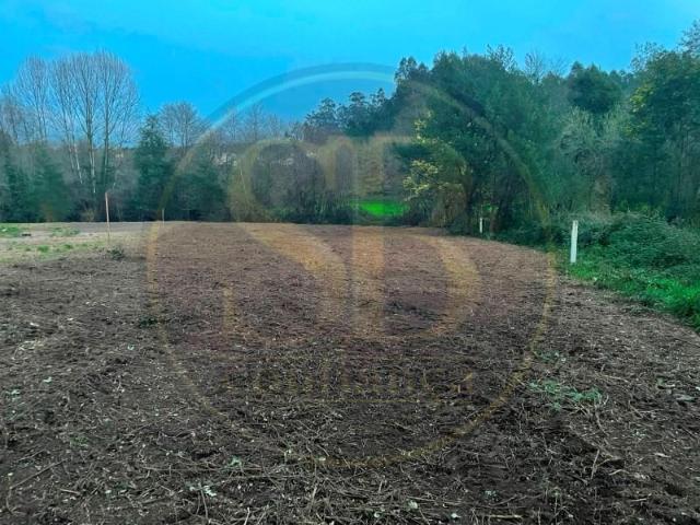 Terreno venda em Oliveira De Azeméis, Aveiro